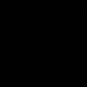 Meet your Posher, Asaun